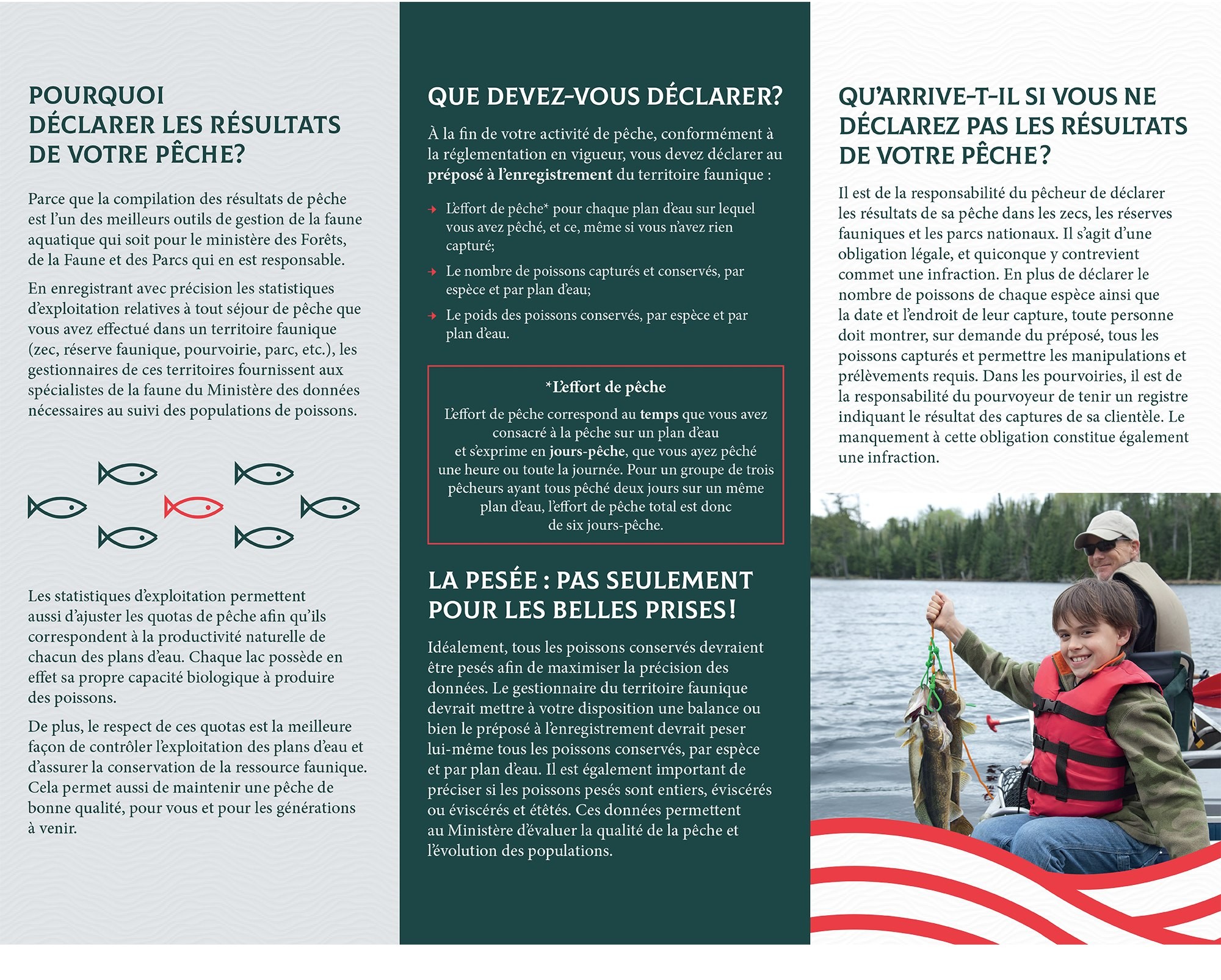 declarationpoisson002